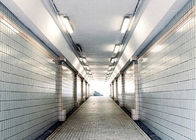 8ft 120 Garages van het Watts100-480v Tribewijs Geleide Licht voor Parkeren