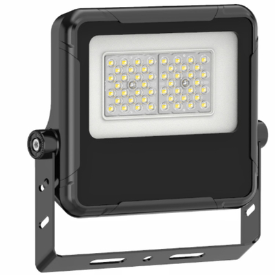 Cob Sport Flood Lights Outdoor Ac Power 50w tot 400w Ip66
