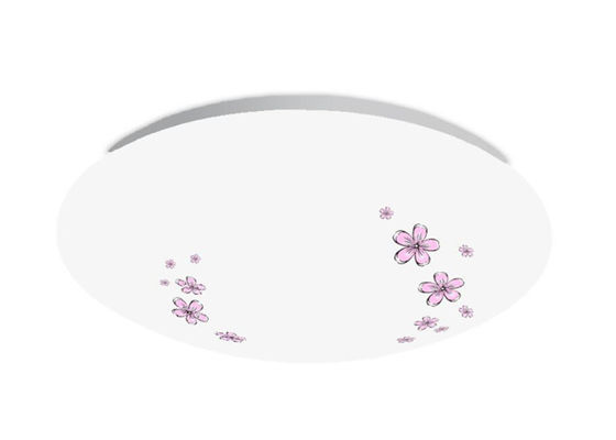 PMMA om Cirkelplafond Opgezette LEIDENE Lichten 18 Watts AC175-265V een-xd-jy-18-01