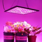 De lichtgewicht Efficiënte Energie kweekt Geleide Lichten het Bloeien kweekt Lichten 3 Jaar Garantie