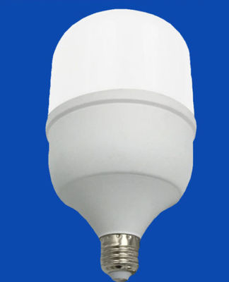 Berijpte Witte Binnen Geleide Gloeilampen E27 B22 met Correct Sensorce Rohs