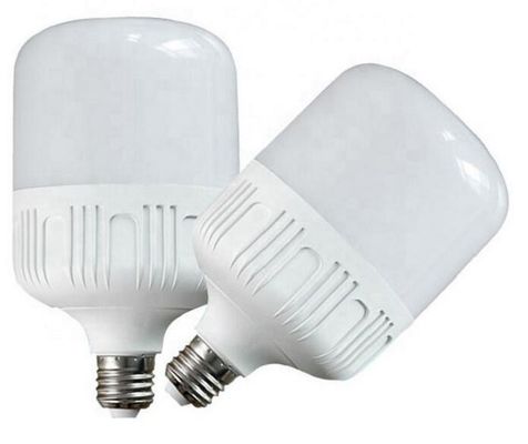 E27 vormde Warm Wit T Gloeilamp